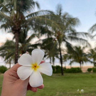 Логотип @dnevnik_musilmankii - 𝐷𝑛𝑒𝑣𝑛𝑖𝑘 𝑀𝑢𝑠𝑖𝑙𝑚𝑎𝑛𝑘𝑖