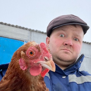 Логотип @dnevnik_tatarina - Дневник Татарина