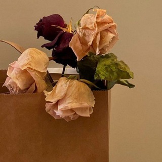 Логотип @dnevnikgirlu - дневничок