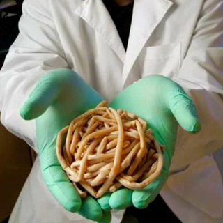 Логотип @dnevnikiparazitologa - Дневники паразитолога