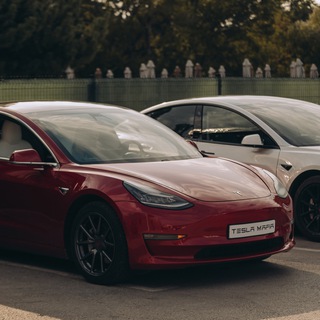 Логотип @dnevniktesla - Дневник Теславодов