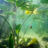 Логотип @dno_reki - Новости со дна