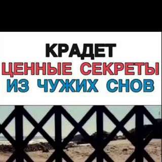 Логотип @dnrpofitsial - ДНР: почти официально