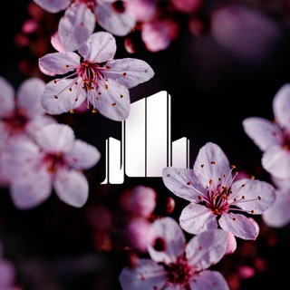 Логотип @dns161 - ДОННЕФТЕСТРОЙ