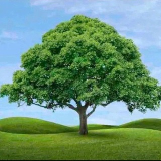 Логотип @dnsh1i - 💋🌲𝓏𝒶𝓁𝓊𝓅𝒶aa🎄𝓏𝒶𝓁𝓊𝓅𝒶A