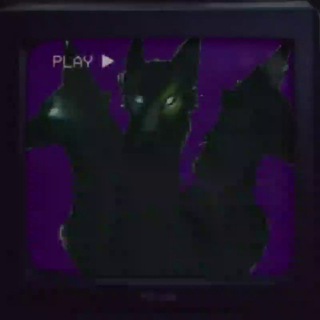 Логотип @dober_showw - Dober_Show