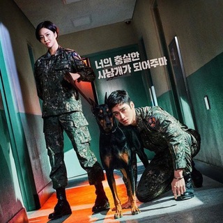 Логотип @doberman_voeniy - 🌼 Военный прокурор Доберман 🌼