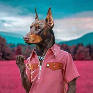Логотип @dobermann2030 - DOBERMANN2030