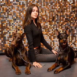 Логотип @dobermordes - Tatyana Fedotova | Мир глазами собаки 🌎