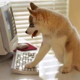 Логотип @dobriememes - Добрые мемы : )