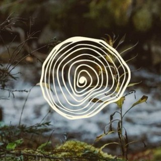 Логотип @dobrinoviny - Добрі новини