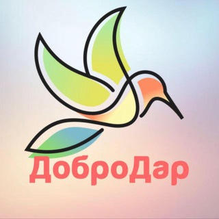 Логотип @dobrodar15540 - Волонтёрская организация «ДоброДар» Владивосток