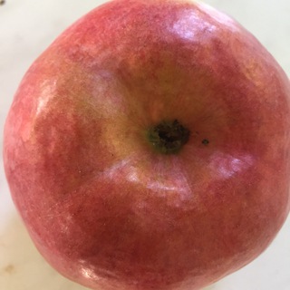 Логотип @dobrodushik - ДоброДуш