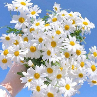 Логотип @dobroe_utro_fot_you - КРАСИВЫЕ ОТКРЫТКИ И ТЕПЛЫЕ ПОЖЕЛАНИЯ 💕