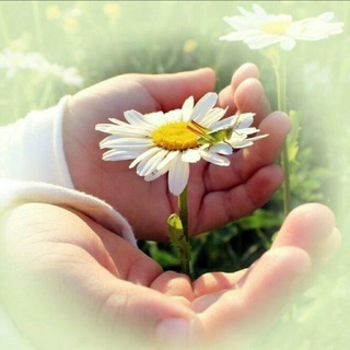 Логотип @dobrolady - ДобронаГлавном/ Гульнара Рашитовна