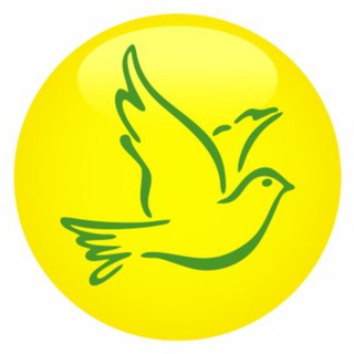 Логотип @dobromdmsc - Московское долголетие Клуб Добро НОВОСТИ / НОВЫЕ ГРУППЫ