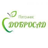 Логотип @dobrosad_pitomnik - Питомник «ДОБРОСАД»