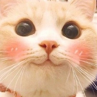 Логотип @dobrotach - доброта