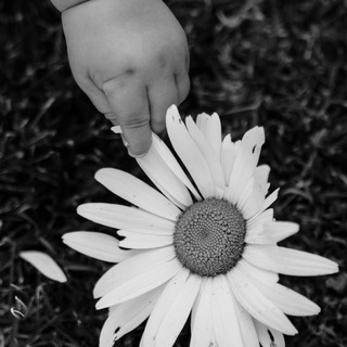 Логотип @dobroveda_blog - Заметки Доброведы