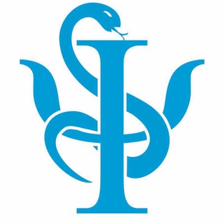 Логотип @docmuhin - Ментальное здоровье