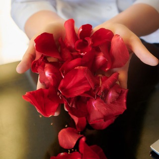 Логотип @doctor_dyakonova - Доктор Дьяконова