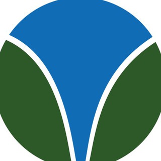 Логотип @doctorabritsova - доктор Марьяна Абрицова проктолог Москва