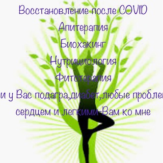 Логотип @doctordiagnostalina - Доктор Алина Паршутова диагност, биохакер, натуропат, трихолог