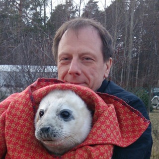 Логотип @doctorkarp - Как есть