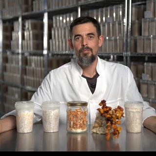 Логотип @doctormasgutovstore - Лаборатория долголетия Руслана Масгутова