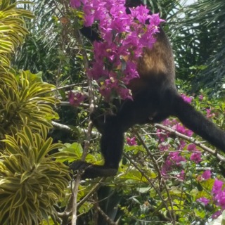 Логотип @doctorqsboombox - DoctorQ's Boom Box!