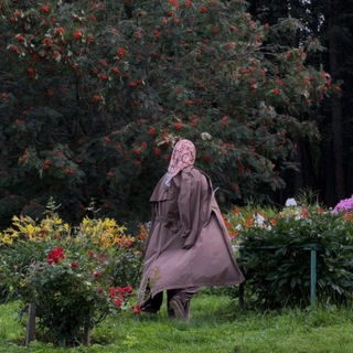 Логотип @doctorsafiyapsy - Doctor Safiya 🛋️