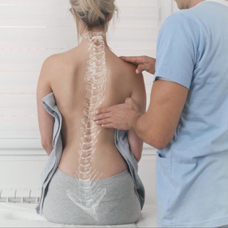 Логотип @doctortrebin - Доктор Требин и Plan B