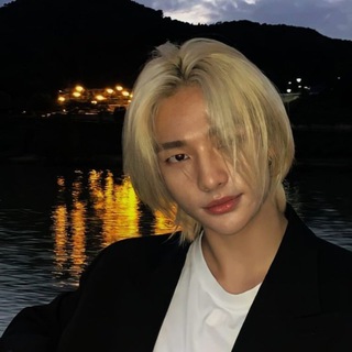 Логотип @dodosoodls - Hyunjin fan😋