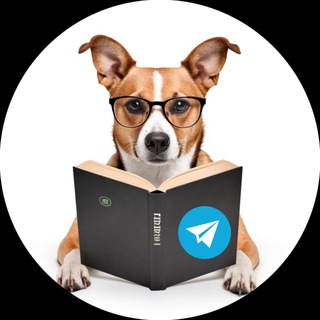 Логотип @dog_matika - Dogматика