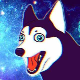 Логотип @doga_bro - Doga Dog