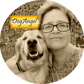 Логотип @dogangel - DogAngel