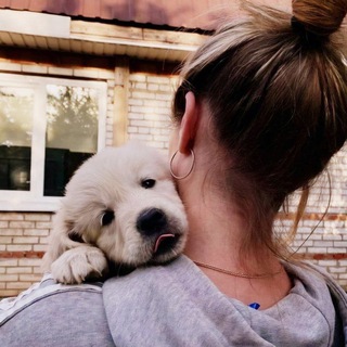 Логотип @dogdacha - Лена и её Dog-Дача