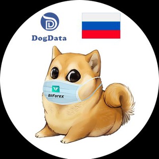 Логотип @dogdata_russia - BoneToken_Russia🇷🇺