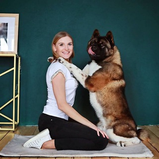 Логотип @dogdietguru - Собаки: Секреты здоровья и натурального питания