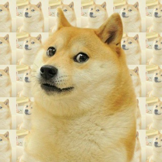 Логотип @dogelotere - 1 Doge Lotere
