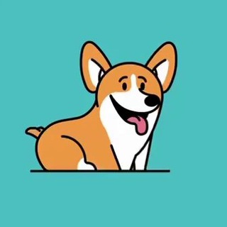 Логотип @dogg_delo - Потеряшки и пиар Краснодар🐾