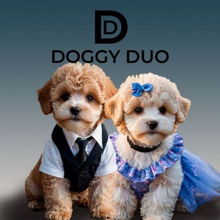 Логотип @doggiduo - DoggiDuo