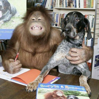 Логотип @doggosnanny - собачья няня