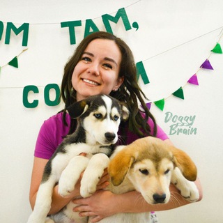 Логотип @doggybrain - Собачка головного мозга 💚 Doggy Brain