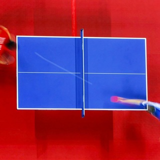 Логотип @dogmatchtabletennis - Договорные матчи(НАСТОЛЬНЫЙ ТЕННИС)