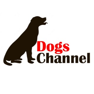 Логотип @dogs_channel - Dogs Channel