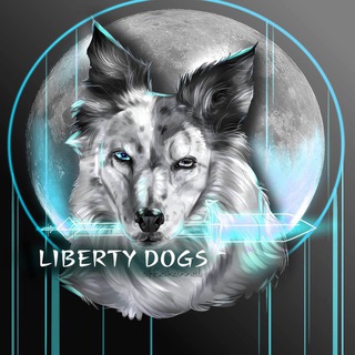 Логотип @dogs_liberty - 🤍𝐋𝐢𝐛𝐞𝐫𝐭𝐲༉‧₊𝐜𝐡𝐚𝐧𝐧𝐞𝐥🥏