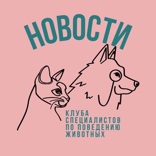 Логотип @dogscienceschool - Зверская наука 🐈🐕