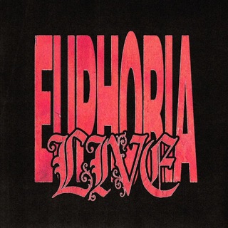 Логотип @dogsl1ve - SALUKI LIVE