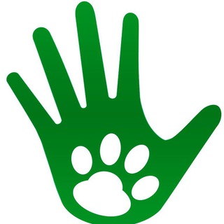 Логотип @dogsmsk - DogsMSK